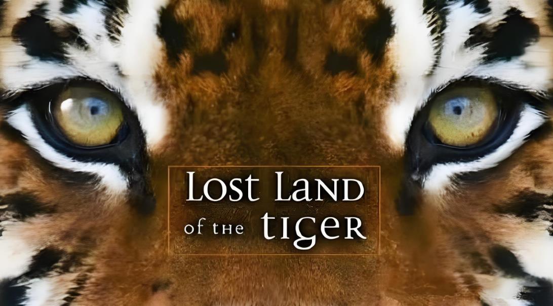 BBC纪录片《老虎失落之地 Lost Land of the Tiger 2010》[全3集][无字幕][外挂字幕][720P][网盘][资源下载]