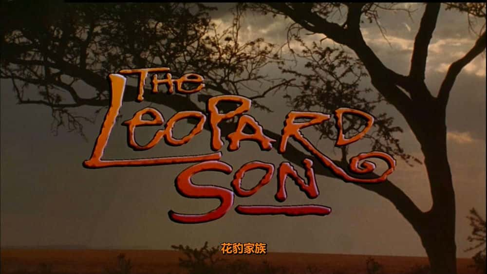 Ұ¼Ƭ The Leopard Sonȫ1-Ӣ1080P