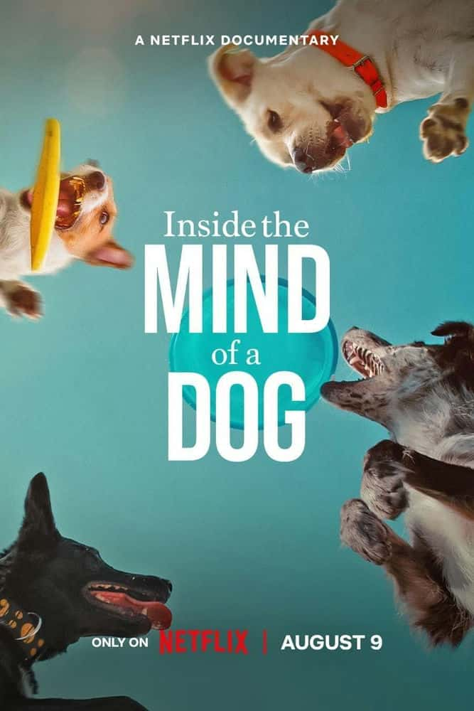 [˵˼ Inside the Mind of a Dog][2024][¼Ƭ][ȫ1][4K][1080P][BT]