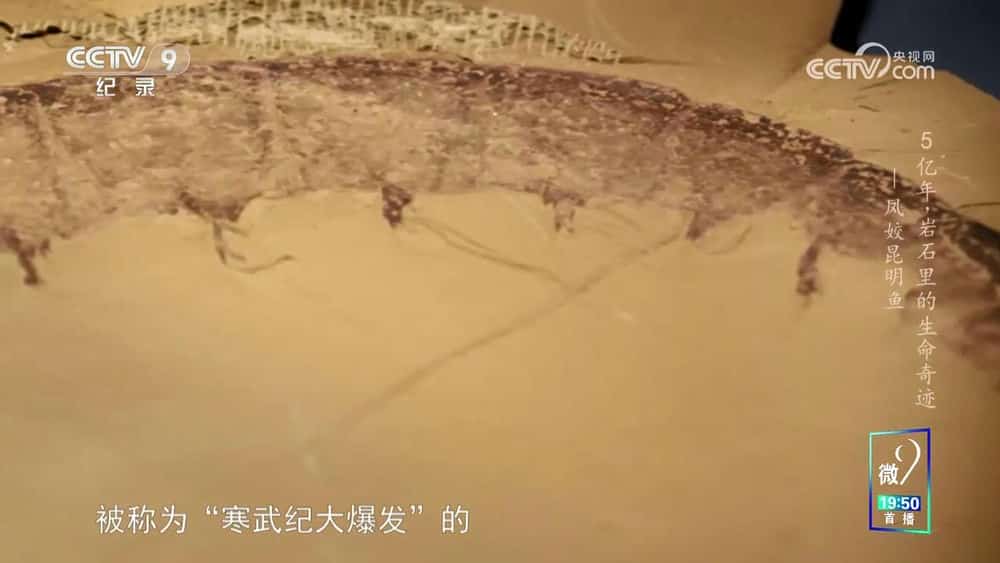 ¼Ƭ5 ʯ漣 һ[2025][Ȼ][1ȫ15][][720P][]